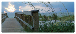DNSEMP-L-125 Crossing Over (Boardwalk)